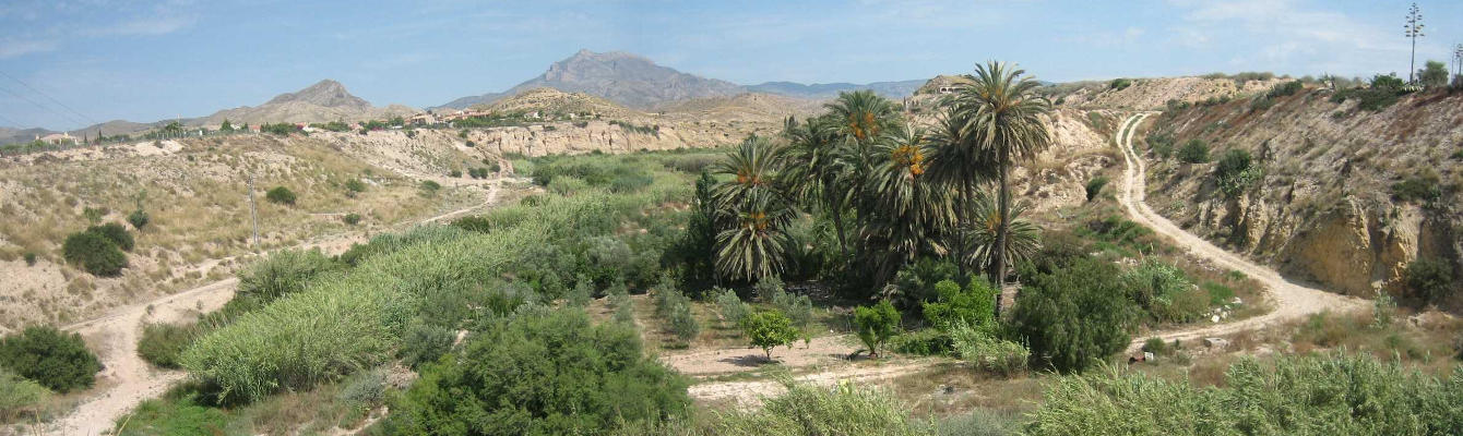 Ruta Assut Mutxamel - Lloma de ramos